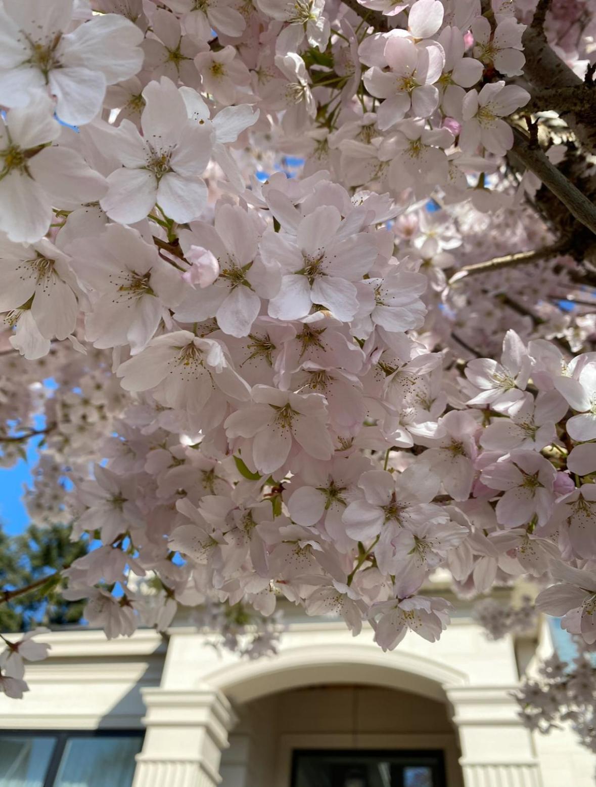 Vancouver Shangrila House Richmond Ngoại thất bức ảnh